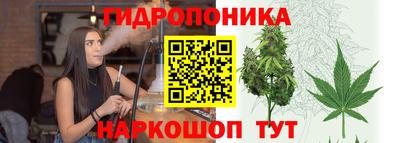 крисы Тара