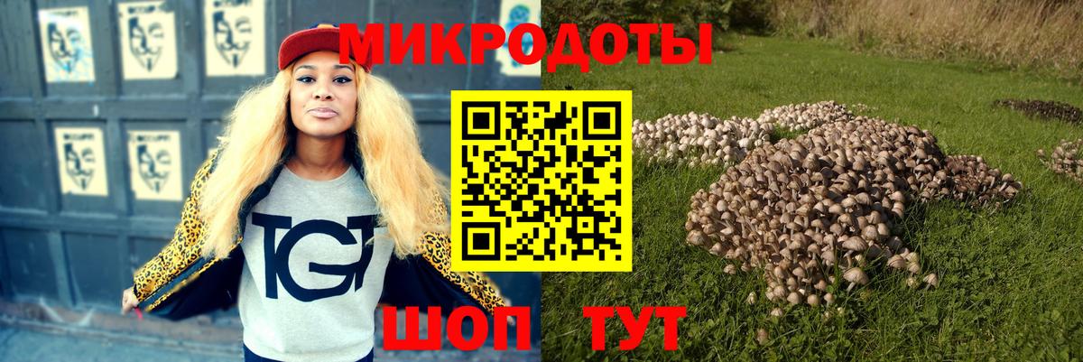 Псилоцибиновые грибы Psilocybine cubensis Мыски